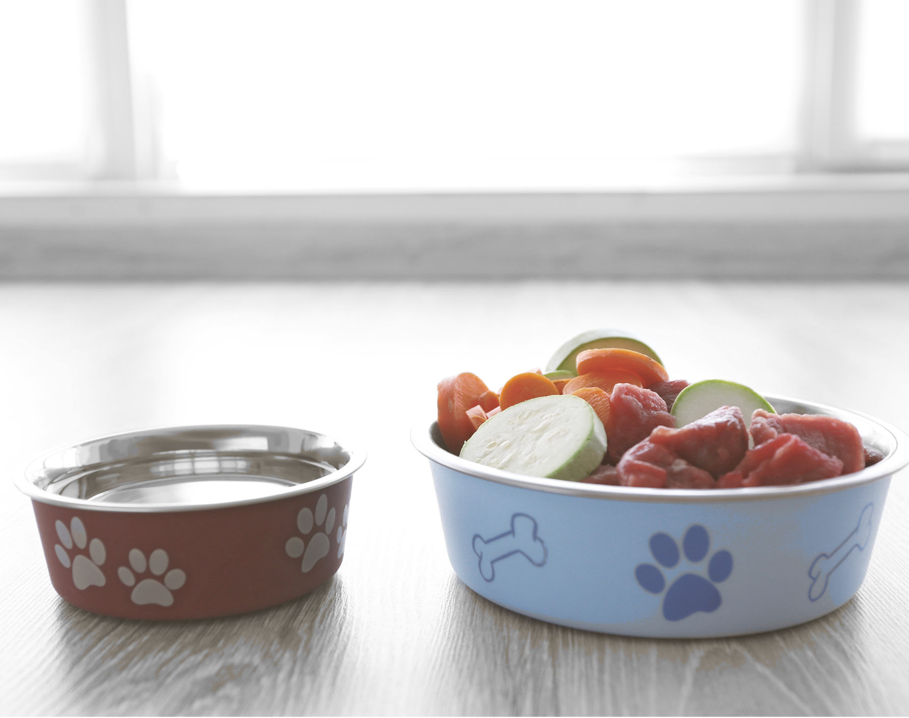 Food bowls for pets during private jet travel