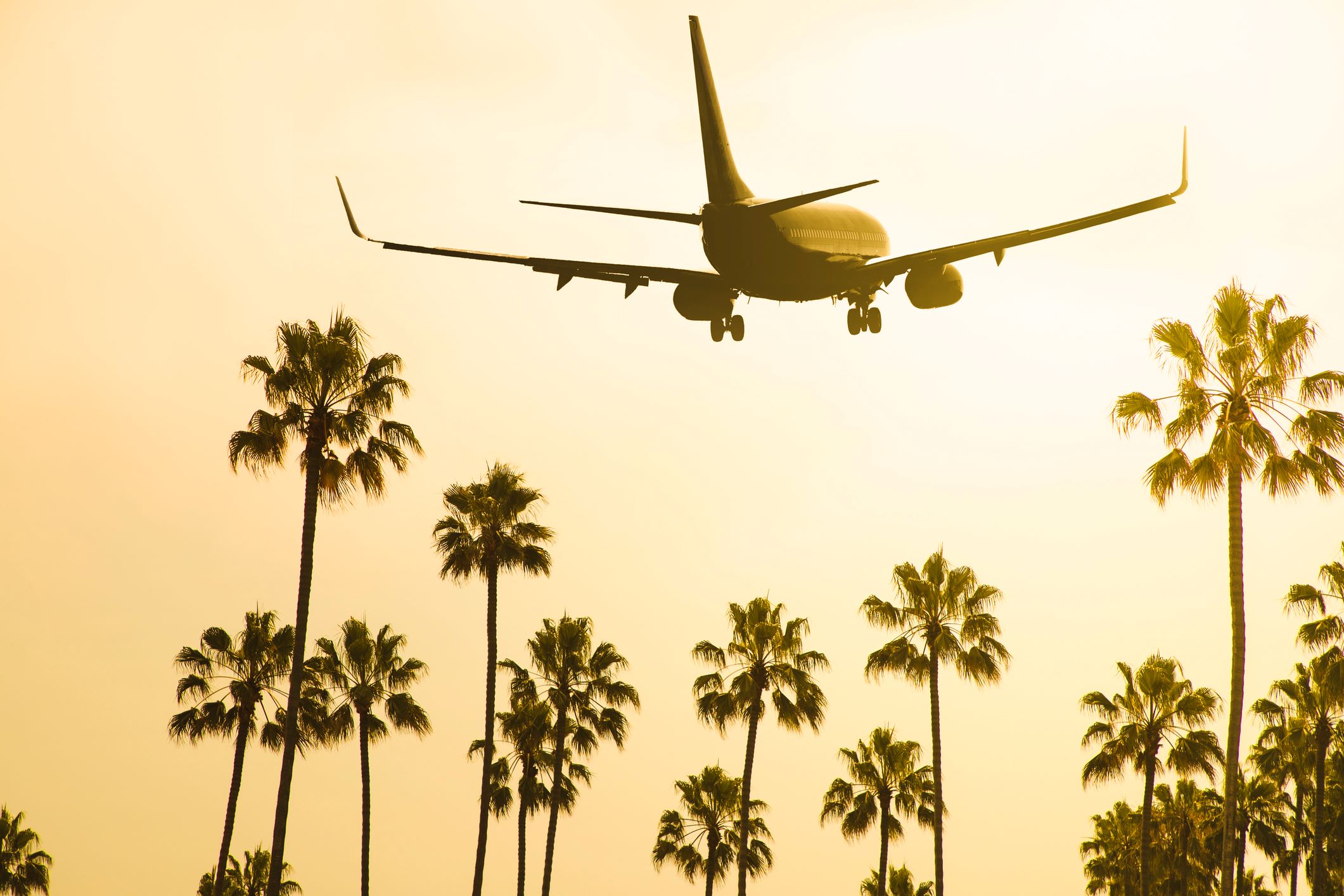 Charter Group Flights tp Global Destinations